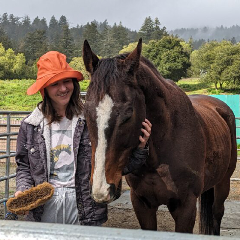 Non-profit gets nod to manage Los Gatos stables – for now